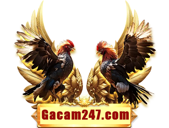 Gacam247.com